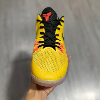 Kobe 5 Venomenom 'University Gold'